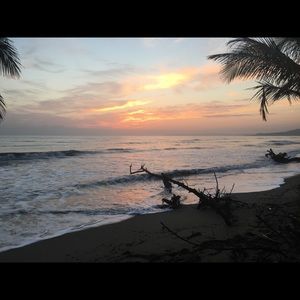 Meet your Posher, Charlotte